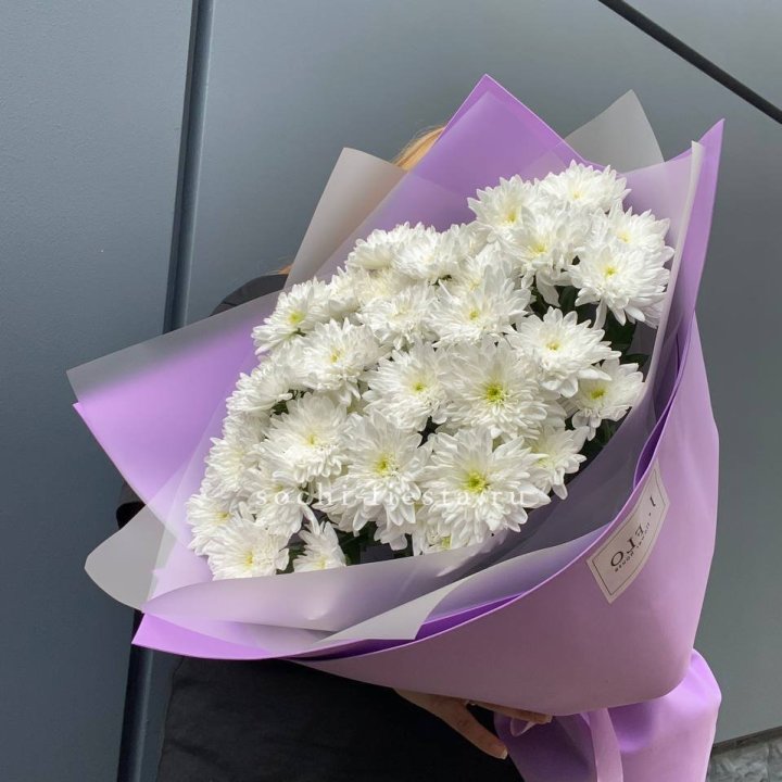  7 хризантем  в Пскове