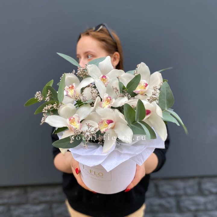 7 орхидей в боксе в Пскове