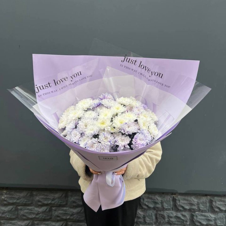 9 воздушных хризантем в Пскове