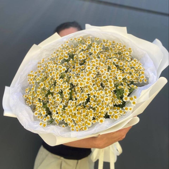 Букет ромашек №2 в Пскове