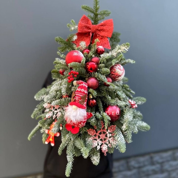 Новогодняя елочка "Ред" в Пскове