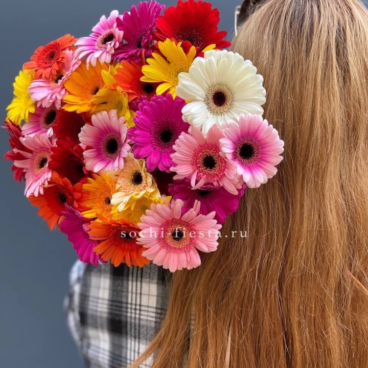 Охапка гербер  в Пскове