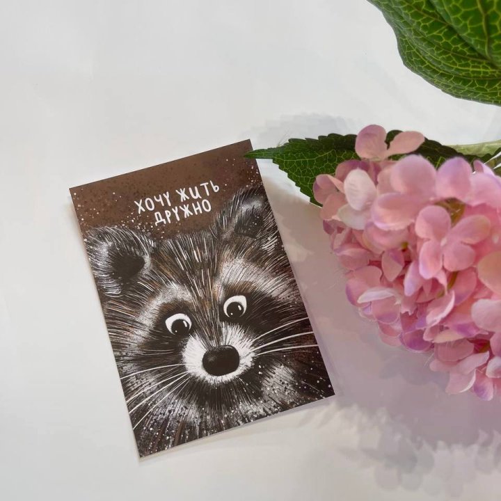 Открытка к букету "Енотик" в Пскове