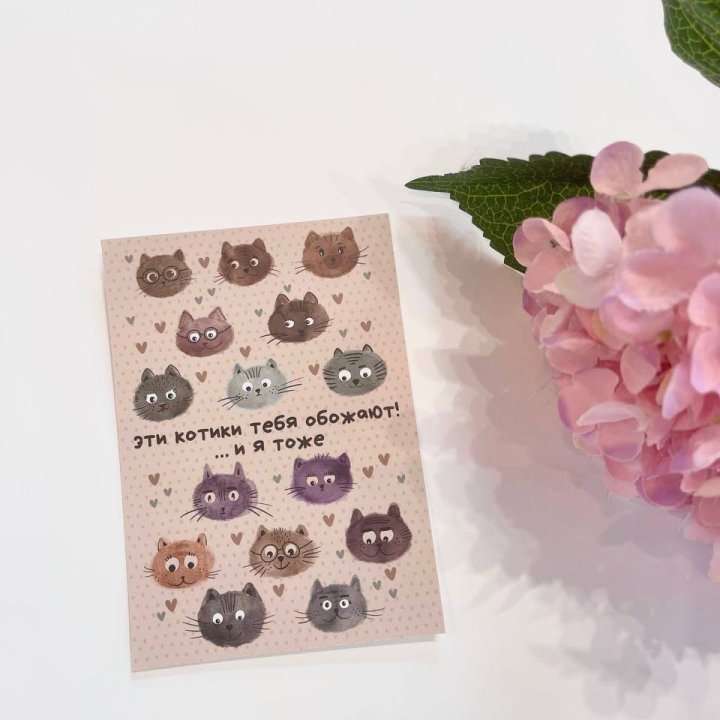 Открытка к букету "Котики" в Пскове