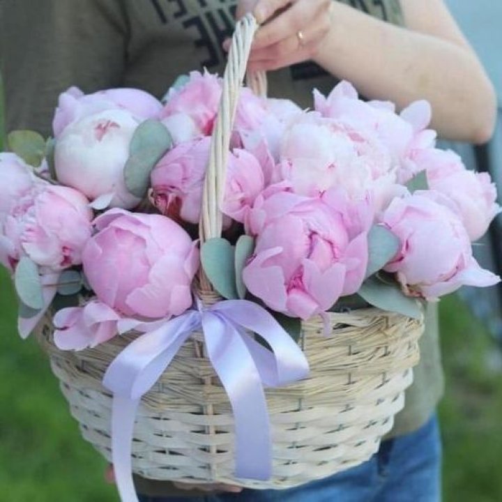 15 пионов в корзине в Пскове