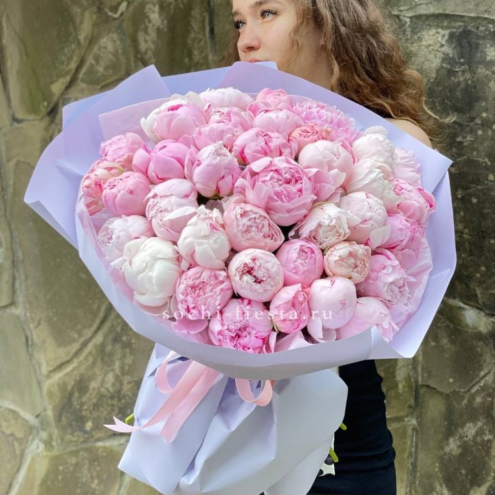 39 нежных пионов в Пскове