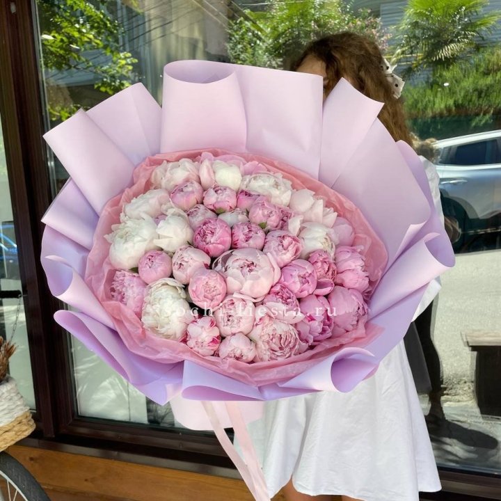 51 розовый пион в Пскове