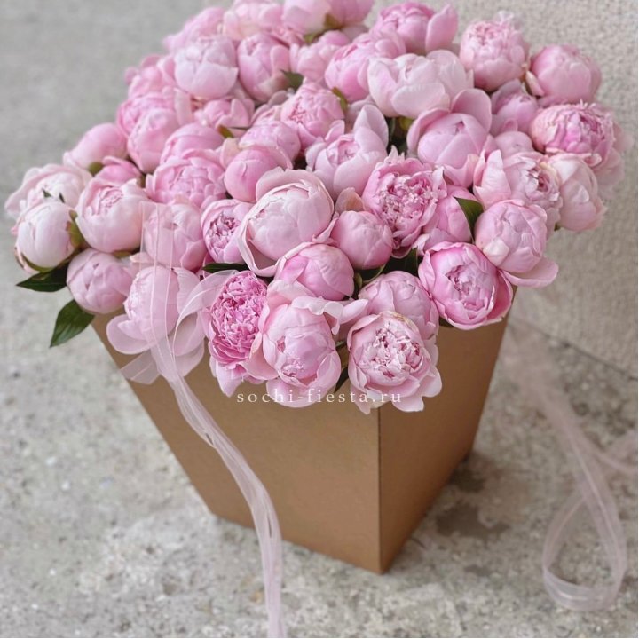 49 пионов в крафт коробке в Пскове