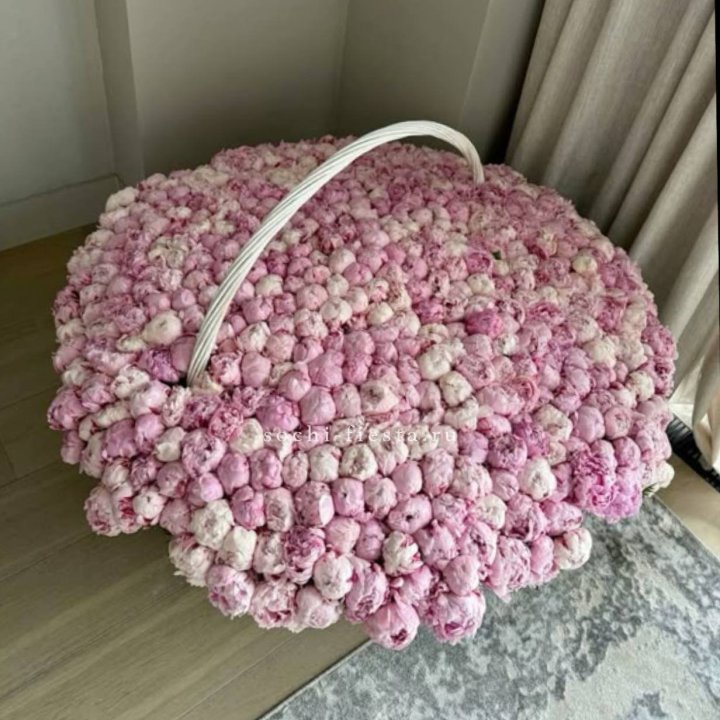 Корзина 555 пионов в Пскове