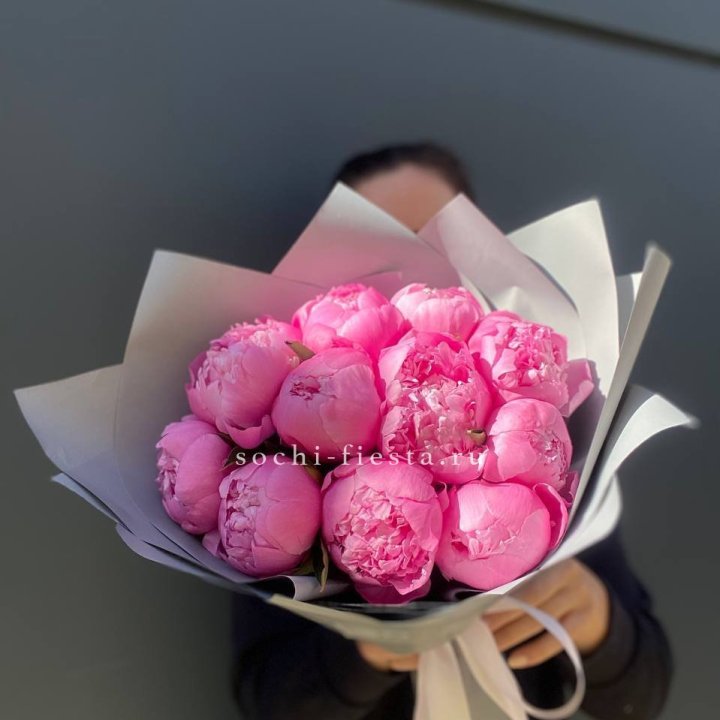 Пионы Алекс флеминг в Пскове