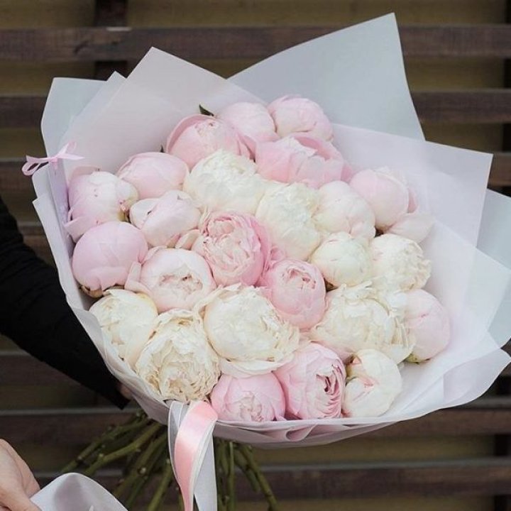 29 пионов в Пскове