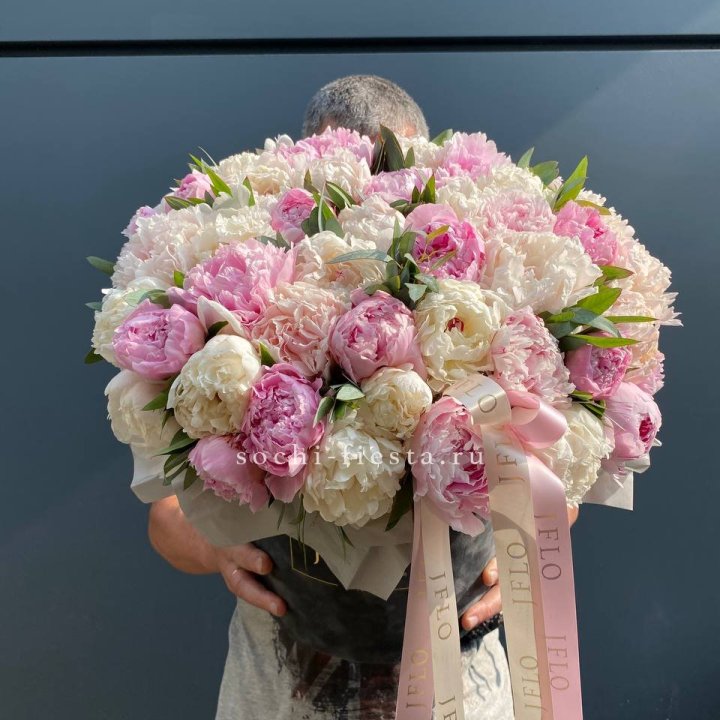 51 пионов в боксе в Пскове