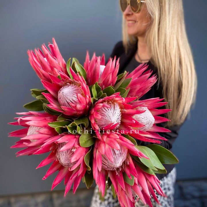 Протея штучно в Пскове