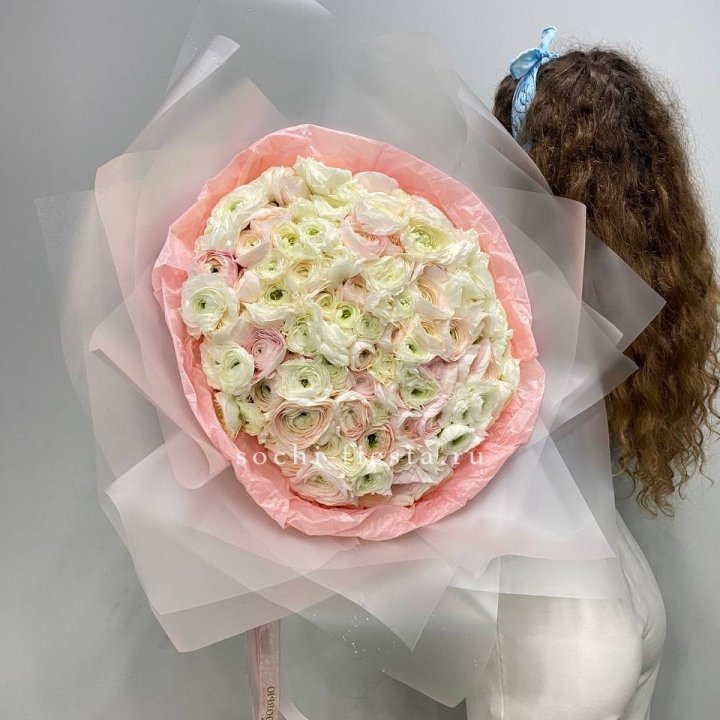 113 ранункулюсов  в Пскове