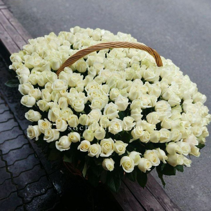 303 розы в корзине в Пскове