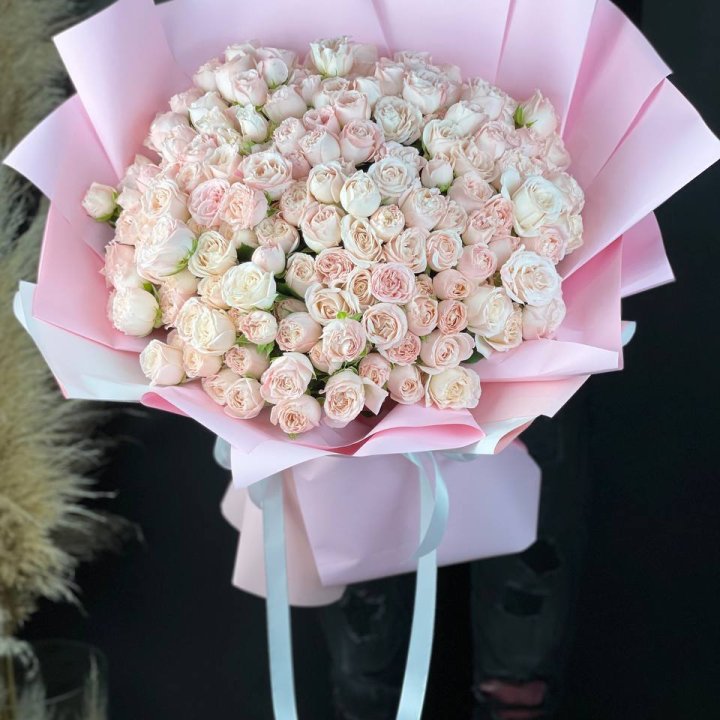 51 бомбастик  в Пскове