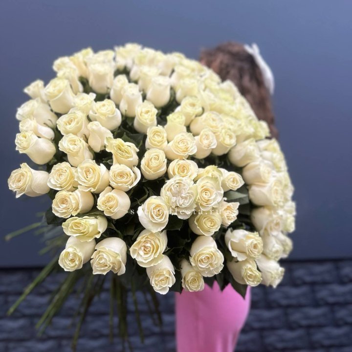 101 белая высокая импортная роза под ленту в Пскове