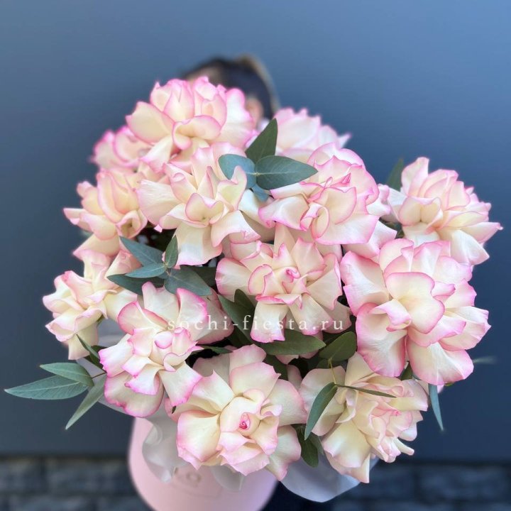 15 Французских роз Джумилия в боксе в Пскове