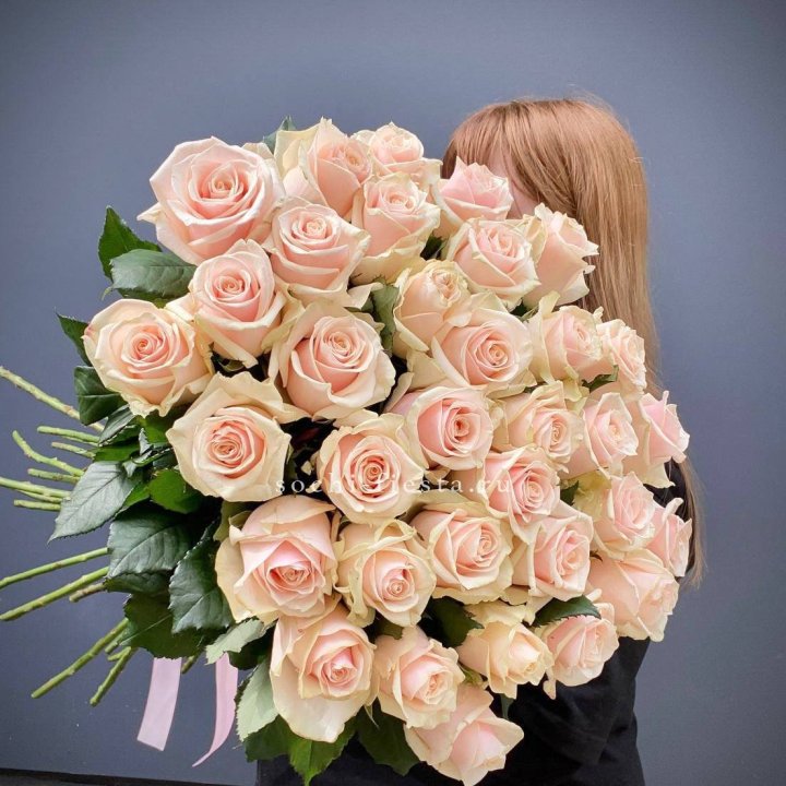 35 кремовых высоких роз в Пскове