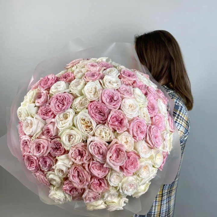 101 роз Охара в Пскове