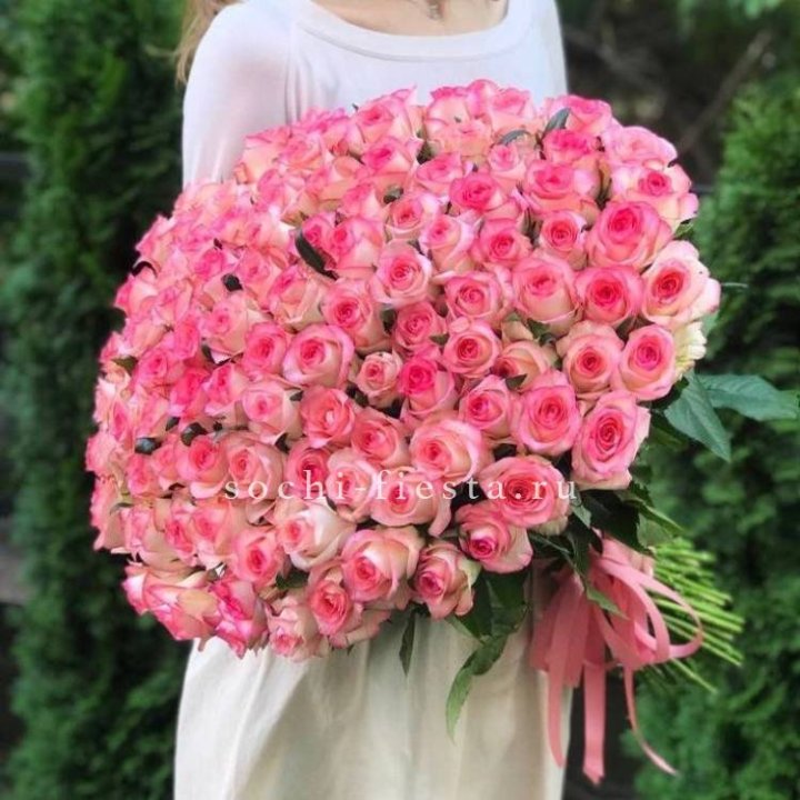 101  джумилия роза  в Пскове