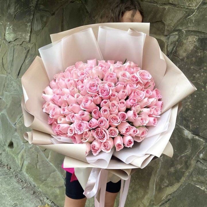 101 нежно-розовая роза Каролина  в Пскове