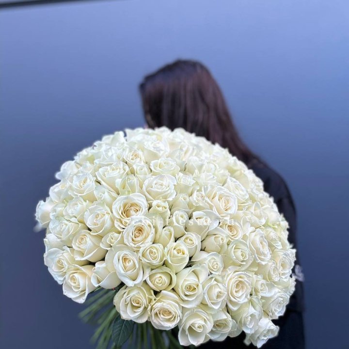 Охапка из 101 белой розы  в Пскове