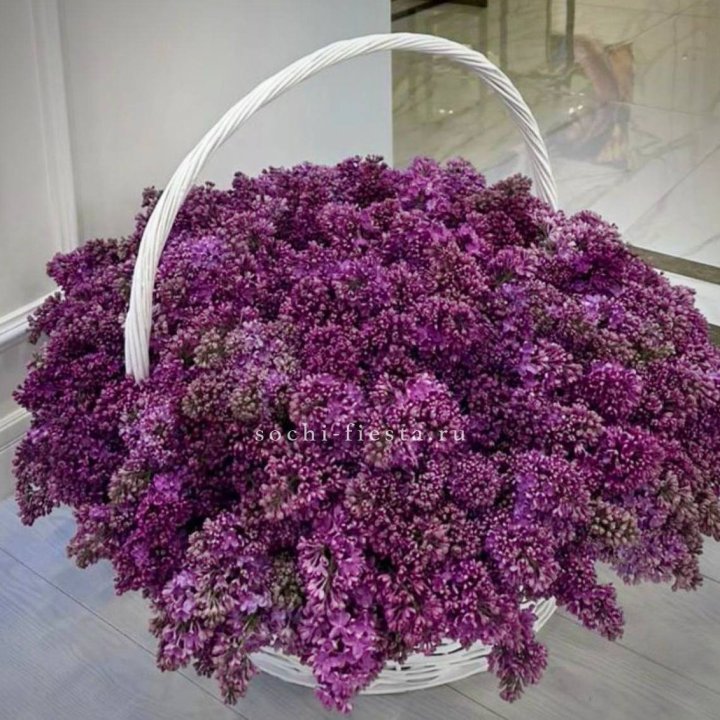 Корзина сирени в Пскове
