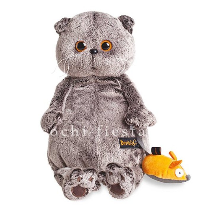 Кот Басик с мышкой в Пскове