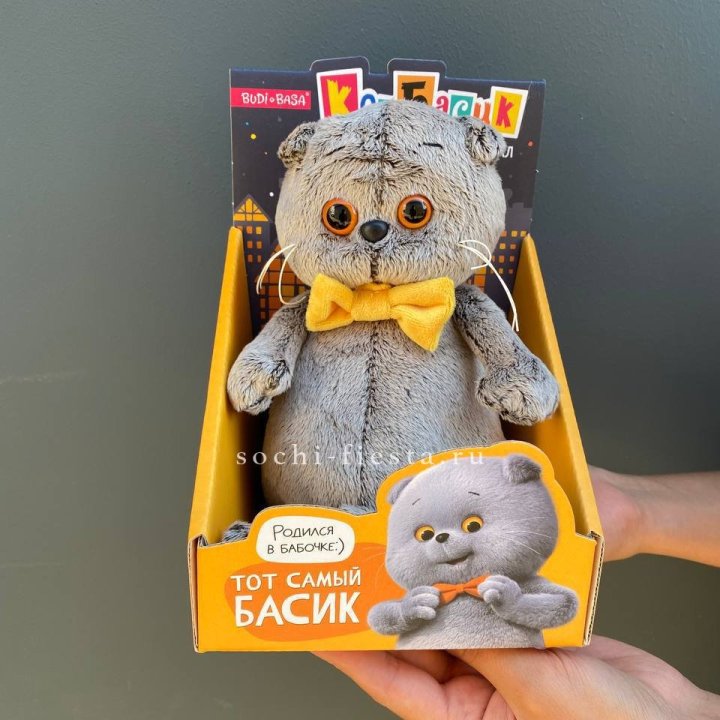 Кот Басик с бабочкой в Пскове