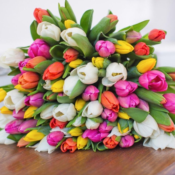 79 тюльпанов "Рандом" в Пскове