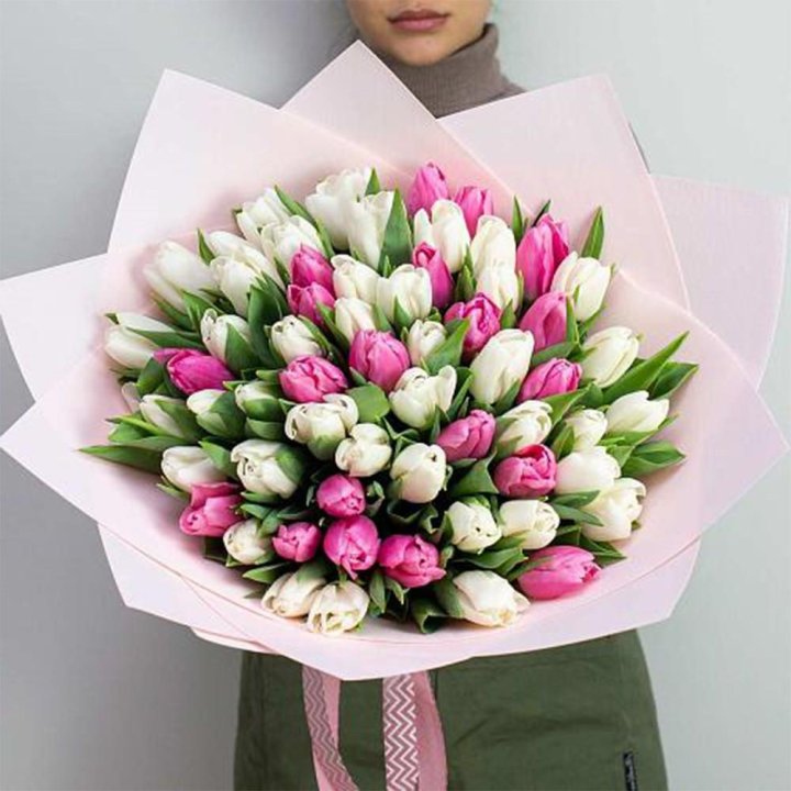 61 бело-розовый тюльпан в Пскове