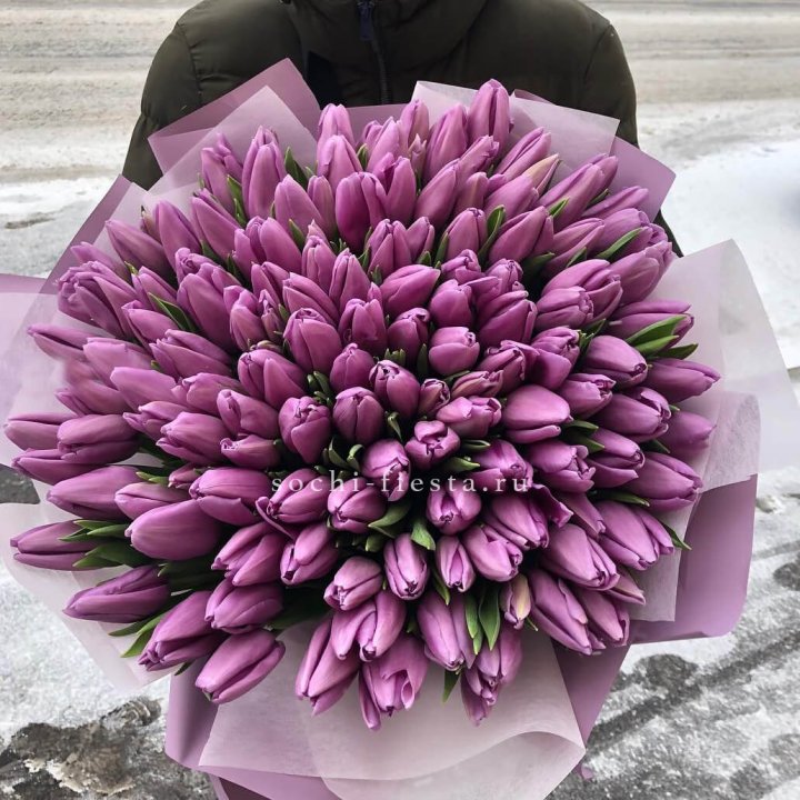 101 сиреневый тюльпан в Пскове