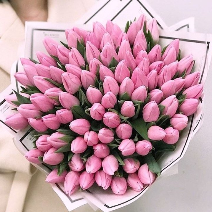 101 розовый тюльпан в белом в Пскове