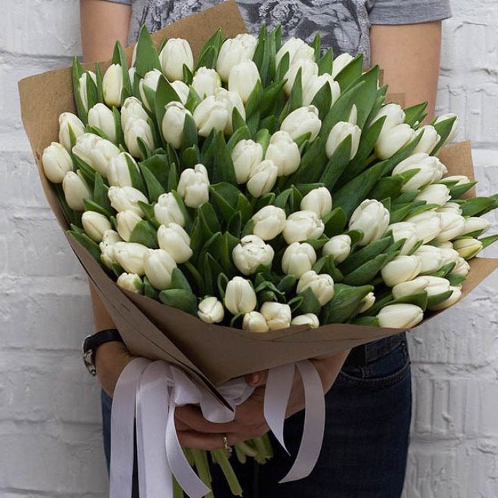 101 тюльпан сноу в Пскове