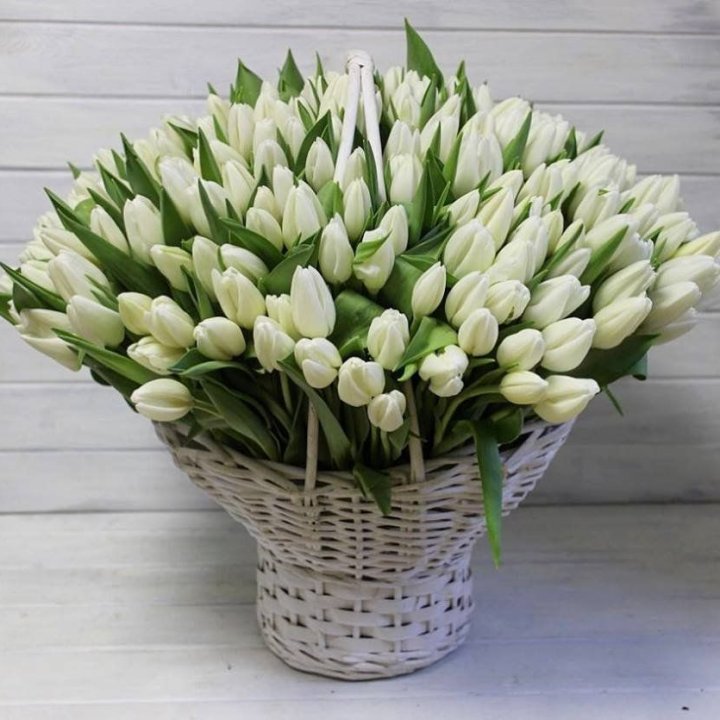 Корзина из 151 тюльпана в Пскове