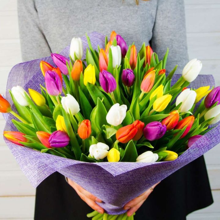 51 тюльпан "Рандом" №2 в Пскове